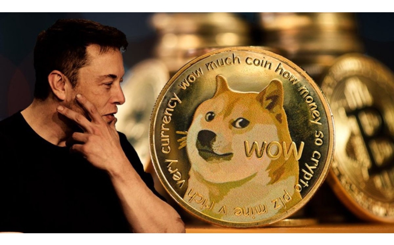 Dogecoin-ий Кабосү нохойн бие сайжрав